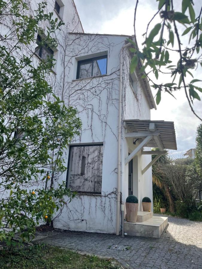 Sublime Haut De Villa Apercu Mer /Hippodrome / كانيو سور مير المظهر الخارجي الصورة